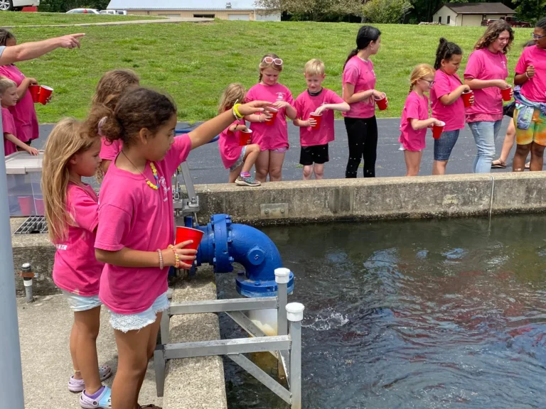 Wildlife robins nest of marion